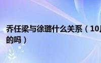 乔任梁与徐璐什么关系（10月31日乔任梁和徐璐的感情是真的吗）