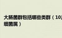 大肠菌群包括哪些类群（10月08日何谓大肠菌群它包括哪些细菌属）