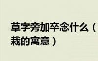 草字旁加卒念什么（10月31日金边六月雪盆栽的寓意）