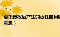 委托授权后产生的责任如何界定（10月31日委托授权人什么意思）