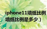 iphone11墙纸比例（10月31日苹果11手机墙纸比例是多少）