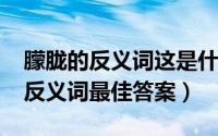 朦胧的反义词这是什么歌（10月31日朦胧的反义词最佳答案）
