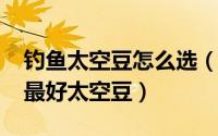 钓鱼太空豆怎么选（10月08日钓友公认十款最好太空豆）