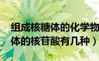 组成核糖体的化学物质（10月08日组成核糖体的核苷酸有几种）