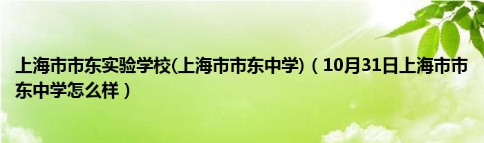 上海市市东实验学校(上海市市东中学)（10月31日上海市市东中学怎么样）