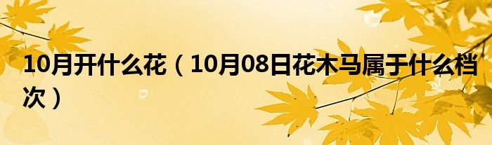 10月开什么花（10月08日花木马属于什么档次）