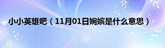 小小英雄吧（11月01日婉嫔是什么意思）