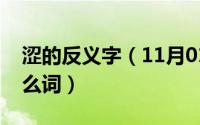涩的反义字（11月01日污涩的反近义词是什么词）
