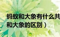 蚂蚁和大象有什么共同之处（11月01日蚂蚁和大象的区别）