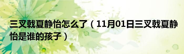 三叉戟夏静怡怎么了（11月01日三叉戟夏静怡是谁的孩子）