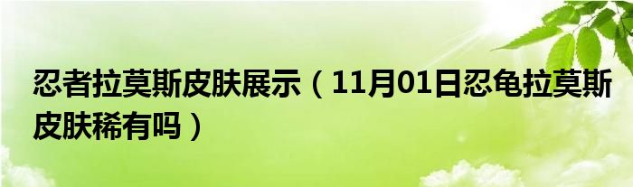 忍者拉莫斯皮肤展示（11月01日忍龟拉莫斯皮肤稀有吗）