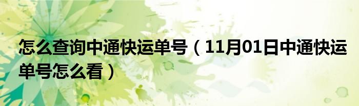 怎么查询中通快运单号（11月01日中通快运单号怎么看）