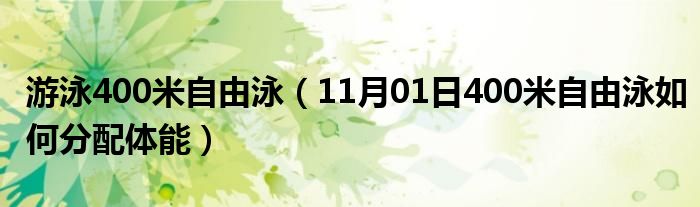 游泳400米自由泳（11月01日400米自由泳如何分配体能）