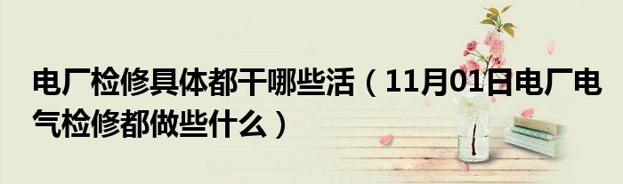 电厂检修具体都干哪些活（11月01日电厂电气检修都做些什么）