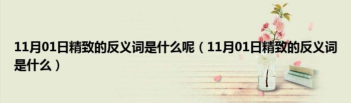 11月01日精致的反义词是什么呢（11月01日精致的反义词是什么）