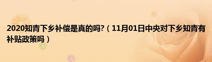 2020知青下乡补偿是真的吗?（11月01日中央对下乡知青有补贴政策吗）