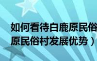 如何看待白鹿原民俗村被拆（11月01日白鹿原民俗村发展优势）