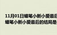 11月01日蜡笔小新小爱最后的结局是什么意思（11月01日蜡笔小新小爱最后的结局是什么）