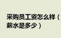 采购员工资怎么样（11月01日采购专员一般薪水是多少）