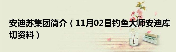 安迪苏集团简介（11月02日钓鱼大师安迪库切资料）