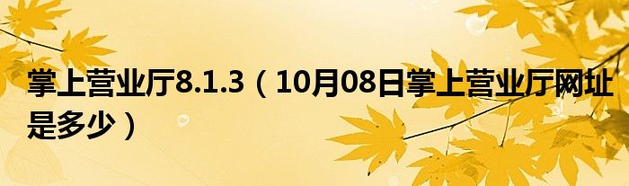 掌上营业厅8.1.3（10月08日掌上营业厅网址是多少）