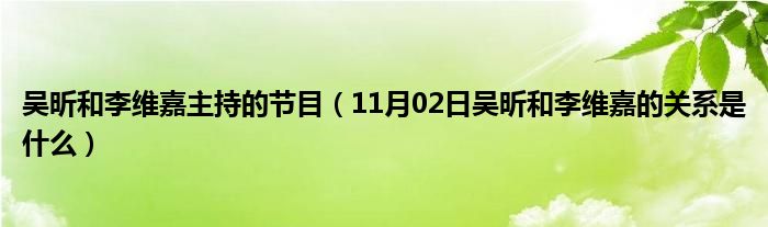 吴昕和李维嘉主持的节目（11月02日吴昕和李维嘉的关系是什么）