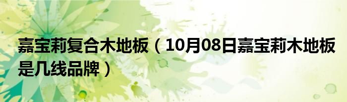 嘉宝莉复合木地板（10月08日嘉宝莉木地板是几线品牌）