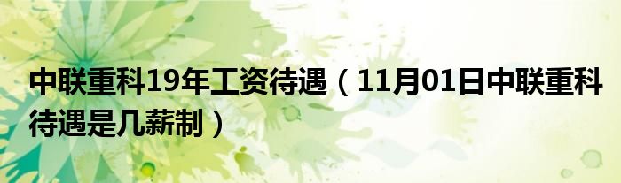 中联重科19年工资待遇（11月01日中联重科待遇是几薪制）