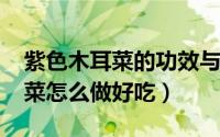 紫色木耳菜的功效与作用（11月02日紫木耳菜怎么做好吃）