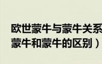 欧世蒙牛与蒙牛关系（10月08日内蒙古欧世蒙牛和蒙牛的区别）