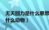 无天回力是什么意思（11月02日无天回力指什么动物）
