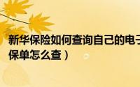 新华保险如何查询自己的电子保单（11月02日新华保险电子保单怎么查）