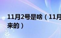 11月2号是啥（11月02日猫是什么动物进化来的）
