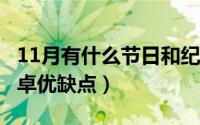 11月有什么节日和纪念日（11月01日lol丽桑卓优缺点）