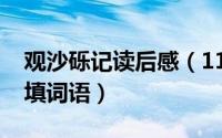 观沙砾记读后感（11月02日金黄金黄的什么填词语）