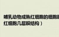 哺乳动物成熟红细胞的细胞膜成分（11月02日哺乳动物成熟红细胞几层膜结构）