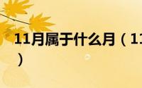 11月属于什么月（11月02日岁月似水的意思）