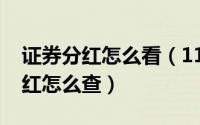 证券分红怎么看（11月01日证券账户基金分红怎么查）