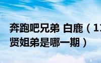 奔跑吧兄弟 白鹿（11月02日奔跑吧白鹿秦霄贤姐弟是哪一期）