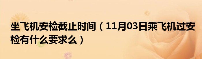 坐飞机安检截止时间（11月03日乘飞机过安检有什么要求么）