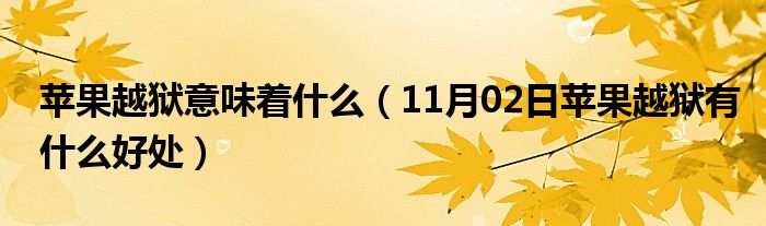 苹果越狱意味着什么（11月02日苹果越狱有什么好处）