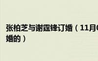 张柏芝与谢霆锋订婚（11月02日张柏芝和谢霆锋什么时候结婚的）