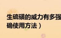 生硫磺的威力有多强（11月02日生硫磺的正确使用方法）