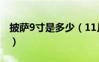 披萨9寸是多少（11月02日9寸披萨大概多大）