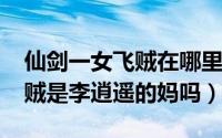 仙剑一女飞贼在哪里（11月02日仙剑一女飞贼是李逍遥的妈吗）