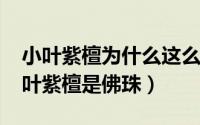 小叶紫檀为什么这么贵（10月08日为什么小叶紫檀是佛珠）