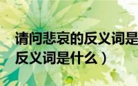 请问悲哀的反义词是什么（11月03日悲哀的反义词是什么）
