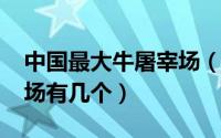 中国最大牛屠宰场（11月02日全国最大宰牛场有几个）