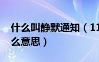 什么叫静默通知（11月02日临时静默管理什么意思）