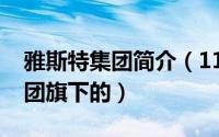 雅斯特集团简介（11月02日雅斯特是哪个集团旗下的）